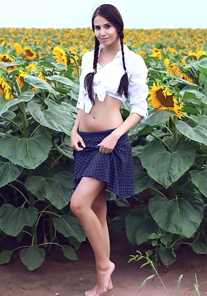 Категория: Косички, картинка 213